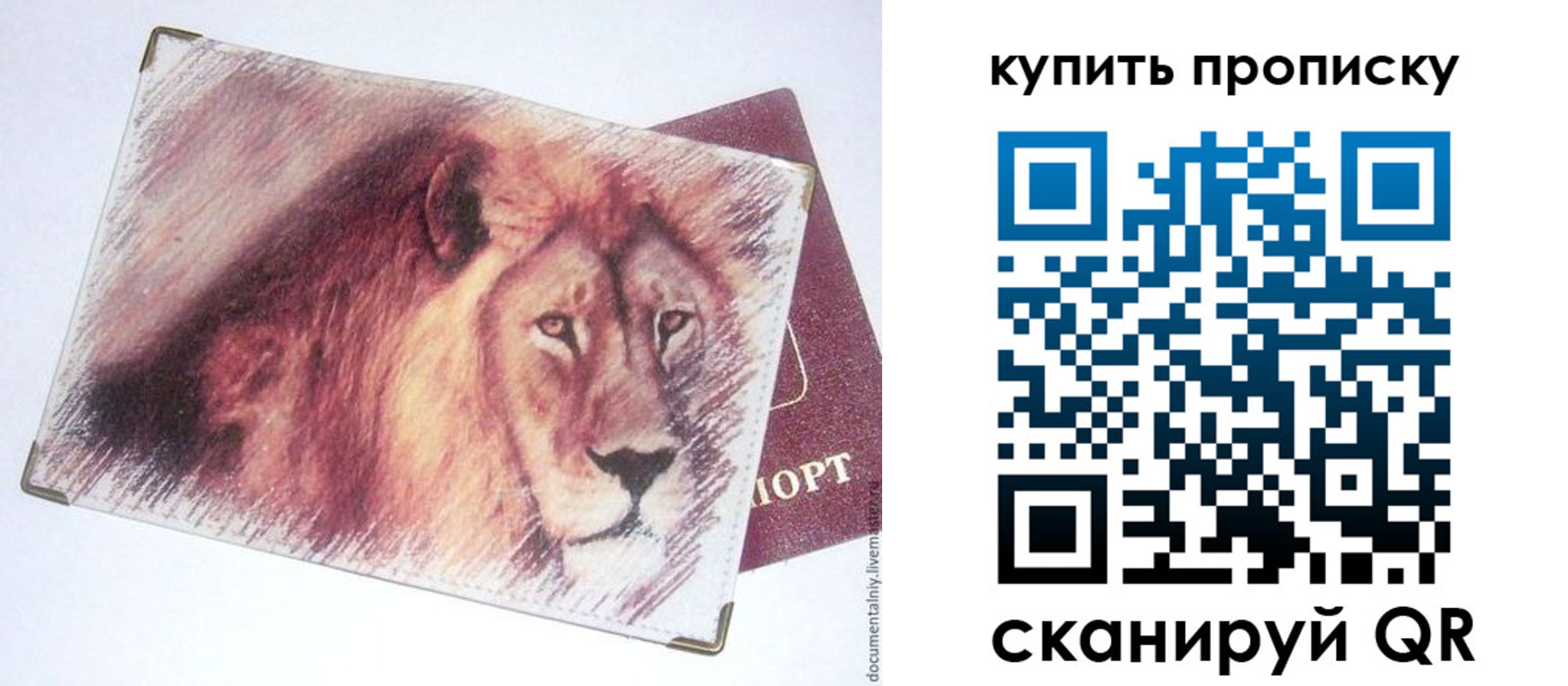 прописка паспорт в Павлово